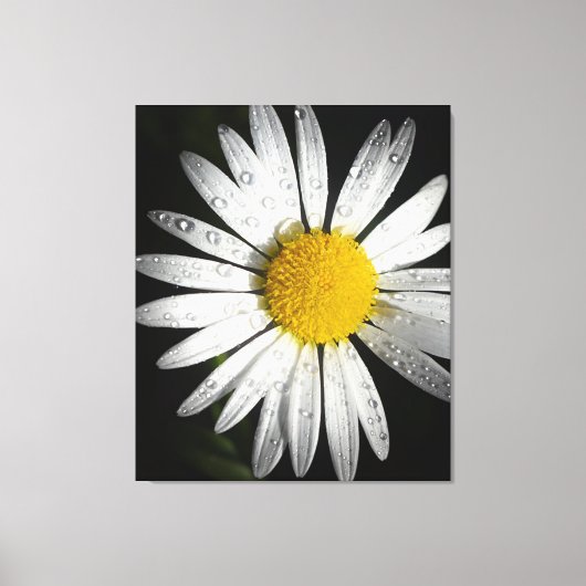 Daisy Canvas Afdruk (Voorkant)