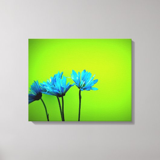 Daisy Canvas Afdruk (Voorkant)
