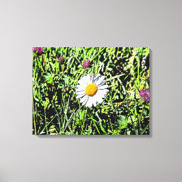 Daisy Canvas Afdruk