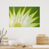 Daisy Canvas Print (Keuken)