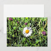 Daisy Card (Voorkant / Achterkant)
