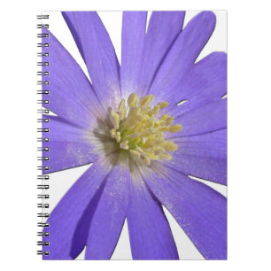 Daisy Carnet Blue Daisy Journaux Cadeaux Fleurs