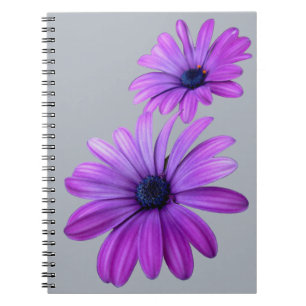Daisy Carnet Purple Daisy Journaux Cadeaux