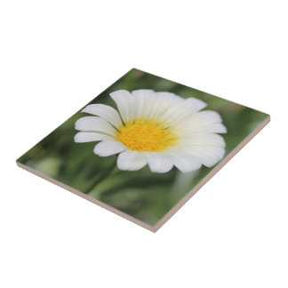 Daisy Ceramic Tile Tegeltje