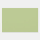 Daisy Check Sage Green Retro Modern Pattern Inpakpapier Vel (Voorkant 2)