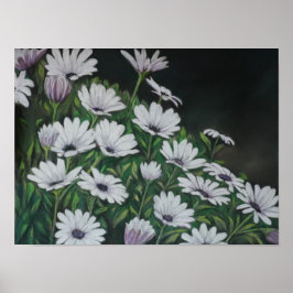 Daisy Chrysanthemum Art Print
