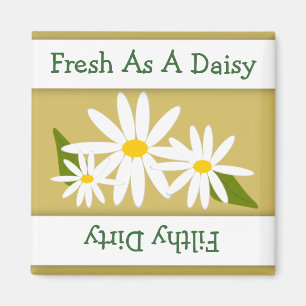Daisy Clean Dirty Indicator Afwasmachine Magnet Magneet