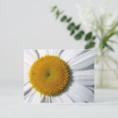 Daisy Close-up Briefkaart (Staand voorkant)