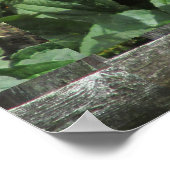 Daisy Cluster Weathered Fence Poster (Hoek)