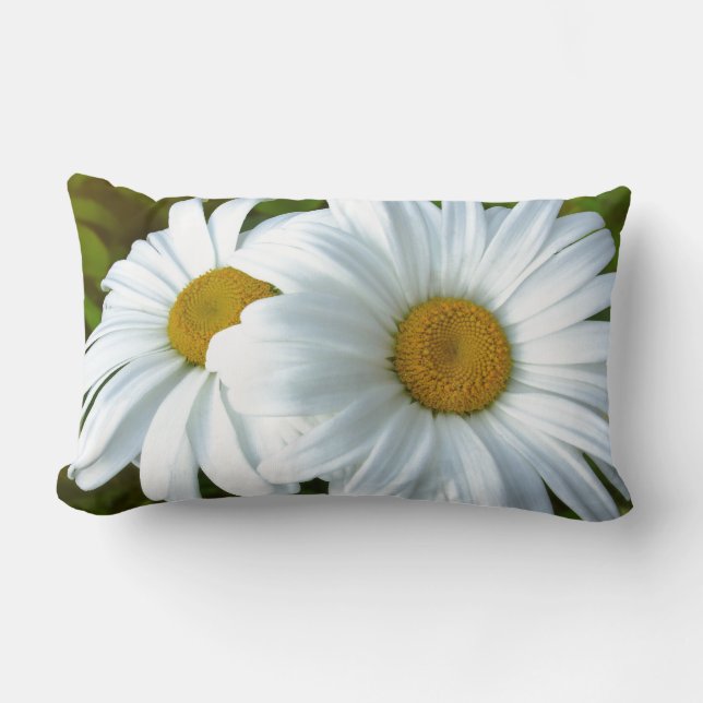 Daisy Coussin Blue Daisy Coussin Flower Decor (Recto)