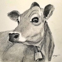 Daisy Cow wenskaart