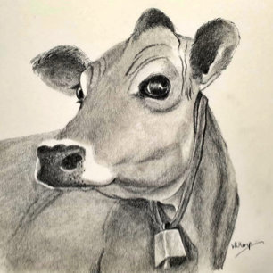 Daisy Cow wenskaart Kaart