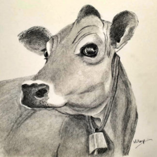 Daisy Cow wenskaart Kaart