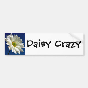 Daisy Crazy Bumper Stick Bumpersticker