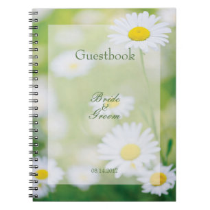 Daisy Daisies Fleuriste Livre d'été