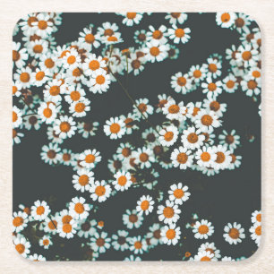 Daisy Daisies Floral Vierkante Kartonnen Onderzetter