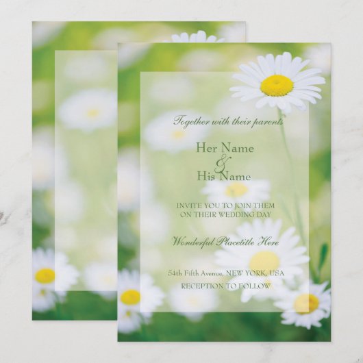 Daisy Daisies Flower Floral Summer Wedding Kaart (Voorkant / Achterkant)