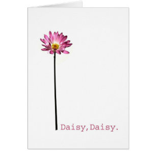 Daisy, Daisy