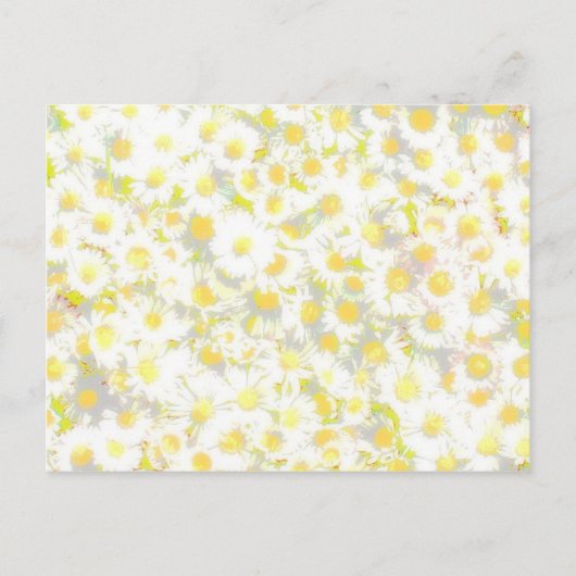 Daisy Daisy Briefkaart (Voorkant)