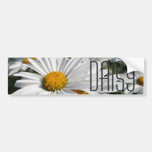 Daisy Daisy Bumpersticker