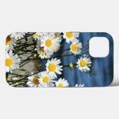 Daisy-Daisy, joli coque iphone de marguerites fleu (Verso (horizontal))