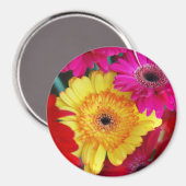 Daisy Daisy ~ Magnet Magneet (Voorkant / Achterkant)