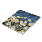 Daisy-Daisy Tegeltje (Zijkant)