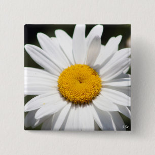 Daisy Darling Vierkante Button 5,1 Cm