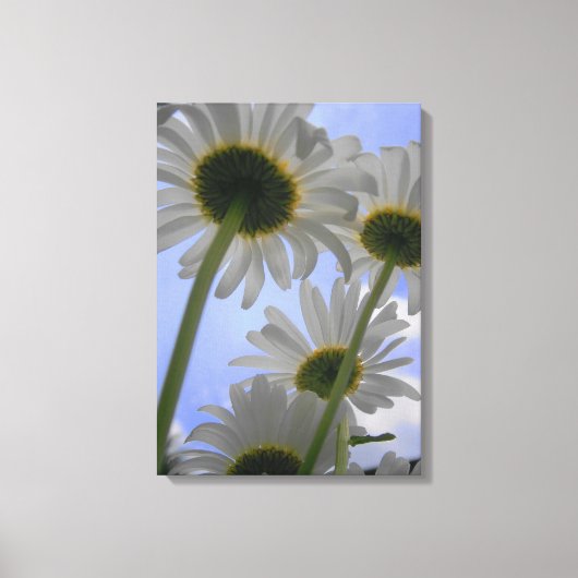 Daisy Day Wrapped Canvas Afdruk (Voorkant)