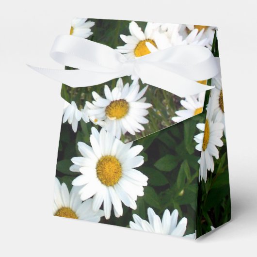 Daisy Delight Favor Box Bedankdoosjes (Voorkant Zijde)