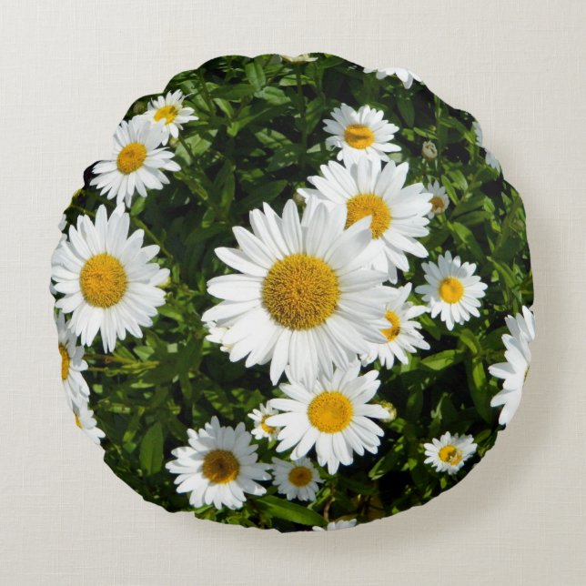 Daisy Delight Round Coussin (Devant)