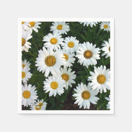 Daisy Delight-servetten (papier) Servet (Voorkant)