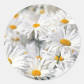 Daisy Design Ronde Sticker (Voorkant)