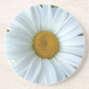 Daisy Dessous de verre Fleur sauvage Daisy Décor &