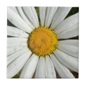 Daisy Dew Tile Tegeltje (Voorkant)