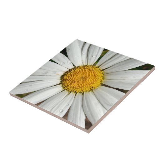 Daisy Dew Tile Tegeltje (Zijkant)