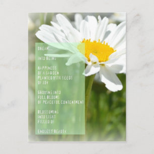 Daisy Dream Poem Inspirerend Post Card Briefkaart