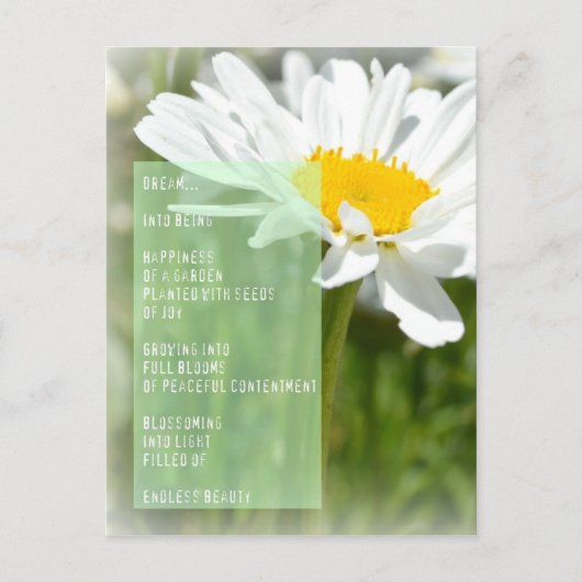 Daisy Dream Poem Inspirerend Post Kaart (Voorkant)