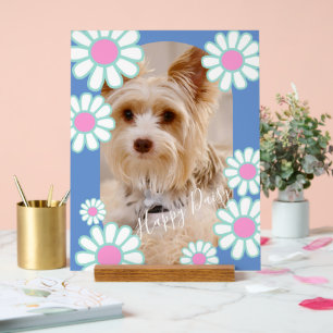 Daisy Eenvoudige Blauwe Foto Acryl Bord