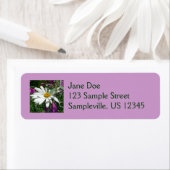 Daisy en Fireweed Wildflower Etiket (Insitu)