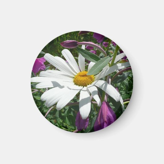 Daisy en Fireweed Wildflower Magneet (Voorkant)