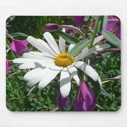 Daisy en Fireweed Wildflower Muismat (Voorkant)