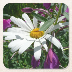 Daisy en Fireweed Wildflower Vierkante Kartonnen Onderzetter