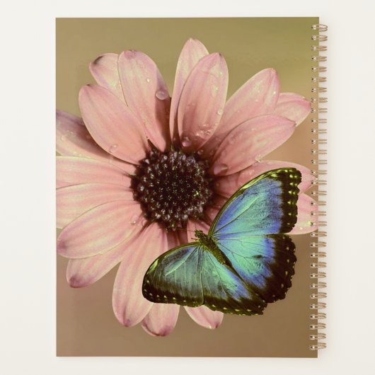 Daisy en Morpho Planner (Achterkant)