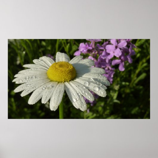 Daisy en Summer Lilac Botanisch Poster (Voorkant)