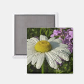 Daisy en Zomer Lila Wildflower Magneet (Voorkant / Achterkant)