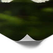 Daisy en Zomer Lila Wildflower Poster (Hoek)