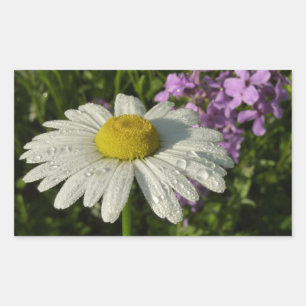Daisy en Zomer Lila Wildflower Rechthoekige Sticker
