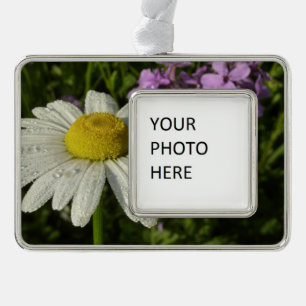 Daisy en Zomer Lila Wildflower Verzilverd Kader Ornament