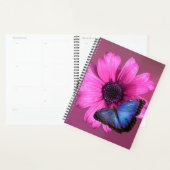 Daisy et Morpho (Devant avec enveloppe)